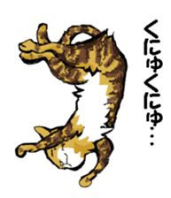 Real cat3 sticker #10521733