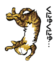 Real cat3 sticker #10521733