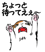 Real cat3 sticker #10521747