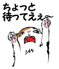 Real cat3 sticker #10521747