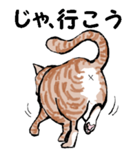 Real cat3 sticker #10521750