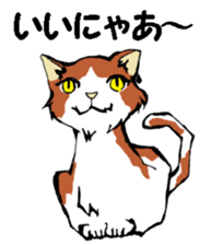 Real cat3 sticker #10521752