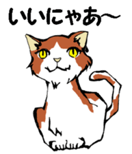 Real cat3 sticker #10521752