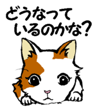 Real cat3 sticker #10521754