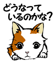 Real cat3 sticker #10521754