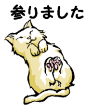 Real cat3 sticker #10521758