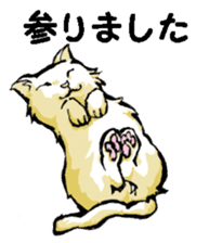 Real cat3 sticker #10521758