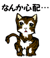 Real cat3 sticker #10521759