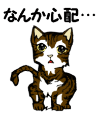 Real cat3 sticker #10521759