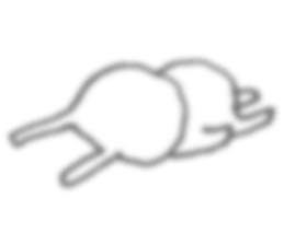 This sticker does not stand out 2nd sticker #10522547