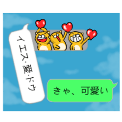 cat playing in the balloon