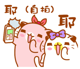 Niu Niu Cat 11 sticker #10524595