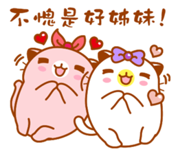 Niu Niu Cat 11 sticker #10524599