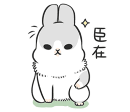 Machiko rabbit 3 sticker #10525081