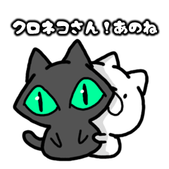 Look here! black cat