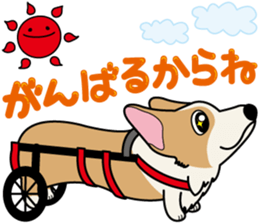 Welsh Corgi of Pearl-kun sticker #10527584