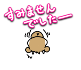 hamster & cat sticker #10528413