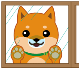 Shiba dog "MUSASHI" 7 sticker #10529776
