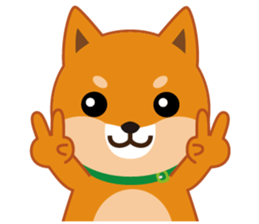 Shiba dog "MUSASHI" 7 sticker #10529782