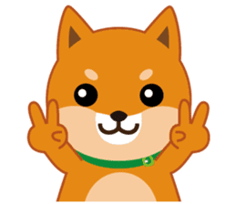 Shiba dog "MUSASHI" 7 sticker #10529782