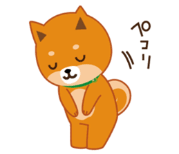 Shiba dog "MUSASHI" 7 sticker #10529787