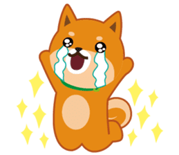 Shiba dog "MUSASHI" 7 sticker #10529794