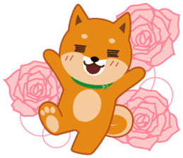 Shiba dog "MUSASHI" 7 sticker #10529795