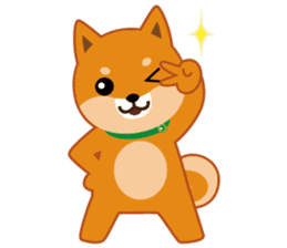 Shiba dog "MUSASHI" 7 sticker #10529804