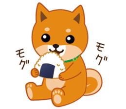 Shiba dog "MUSASHI" 7 sticker #10529814
