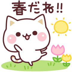 Cat to concern(spring and GW ver.)