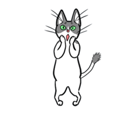 YAMANEKO and TAMASUKE sticker #10532706