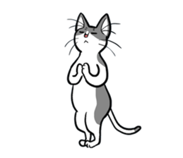 YAMANEKO and TAMASUKE sticker #10532716