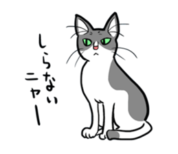 YAMANEKO and TAMASUKE sticker #10532731