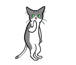 YAMANEKO and TAMASUKE sticker #10532732