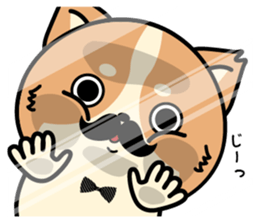 Higeinu4 sticker #10534842