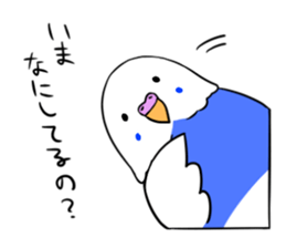 Popo-chan of budgerigar sticker #10538594