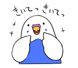 Popo-chan of budgerigar sticker #10538596