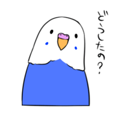 Popo-chan of budgerigar sticker #10538597