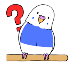 Popo-chan of budgerigar sticker #10538605