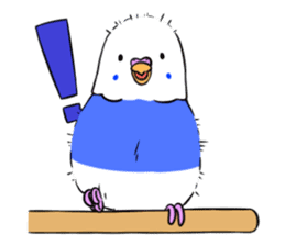 Popo-chan of budgerigar sticker #10538606