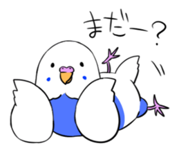 Popo-chan of budgerigar sticker #10538614