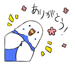 Popo-chan of budgerigar sticker #10538615