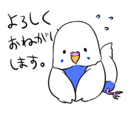 Popo-chan of budgerigar sticker #10538617