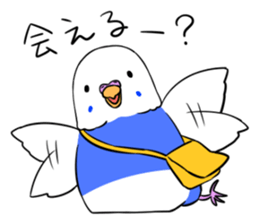 Popo-chan of budgerigar sticker #10538622