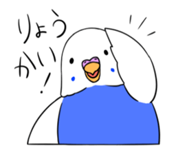 Popo-chan of budgerigar sticker #10538626
