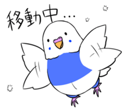 Popo-chan of budgerigar sticker #10538627