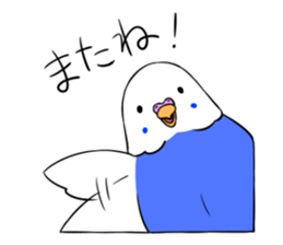 Popo-chan of budgerigar sticker #10538631