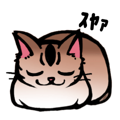 Life with the amber cat