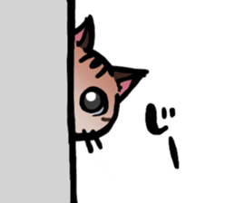 Life with the amber cat sticker #10538713