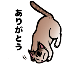 Life with the amber cat sticker #10538714